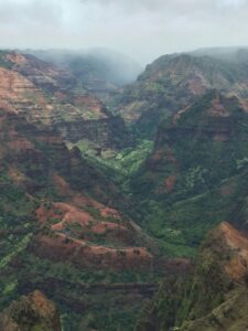 Reddish steep hills and cliffs covered in green vegetation and dotted with trees