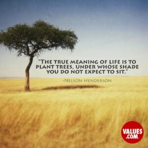 Photo of a grassy field with a single tree, words beside the tree saying 'The true meaning of life is to plant trees, under whose shade you do not expect to sit.' - Nelson Henderson