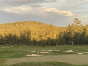 View of a golf course with a line of trees and a large tree-covered hill in the distance