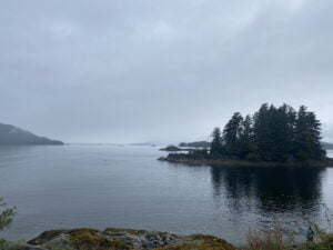 Scenic view of water with small distant land masses, tree-covered island, rocky shore in the foreground, under a gray, cloudy sky