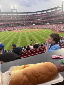 Vibrant baseball game scene featuring the Cardinal team, view from audience seat with hotdog in foreground and crowded stadium seating in the backdrop